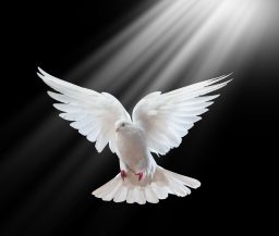 Achieving a Hopeful, Meaningful, and Purposeful Driven Life